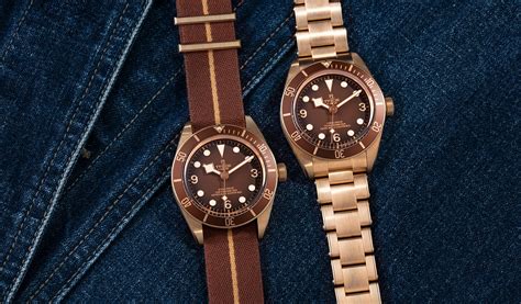 bb bronze tudor|tudor black bay bronze price.